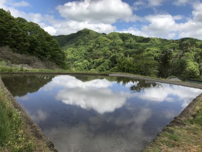 優秀賞　内山喜久夫「田植えの季節到来」