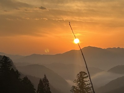 優秀賞　上條貴久　最後に残ったお団子