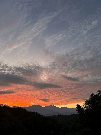 入選　小野翼　オレンジファンタジック♡