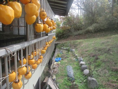 特別賞　地域振興支援員賞　小野寺嶺　八坂の文化