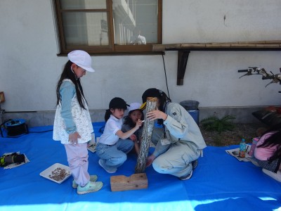 DSC07097