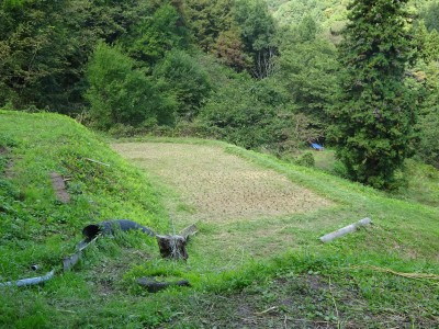 DSC08195